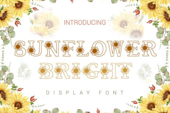 Sunflower Bright: Your New Favorite Display Font